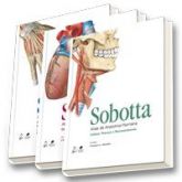 Atlas de Anatomia Humana - 3 Volumes